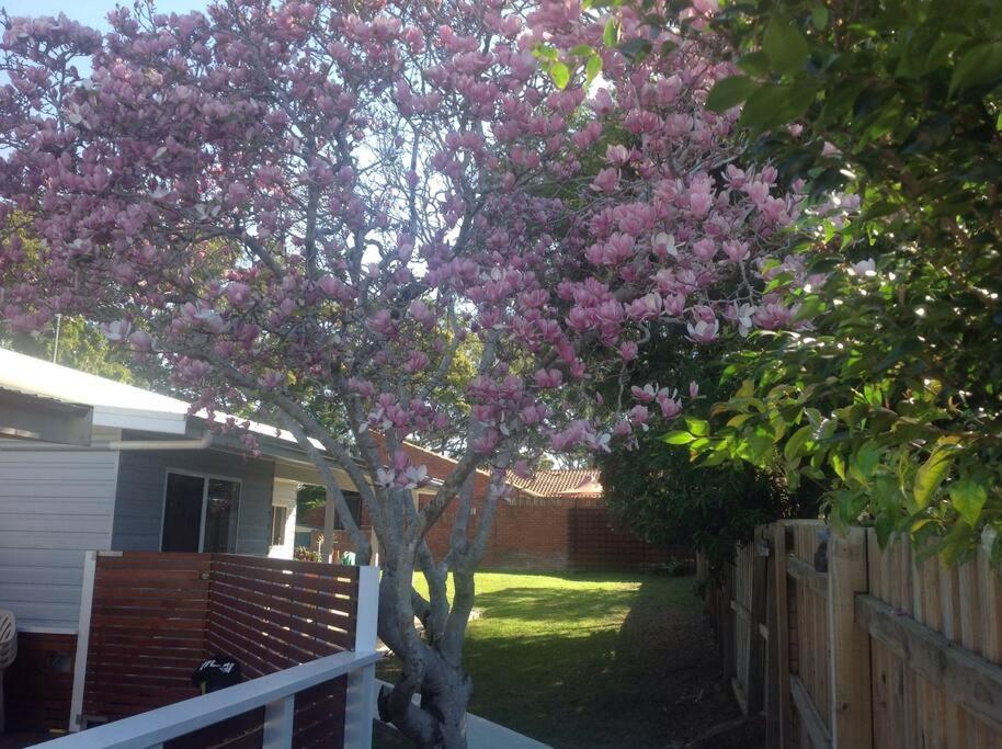 Magnolia Cottage Coffs Harbour Exterior foto
