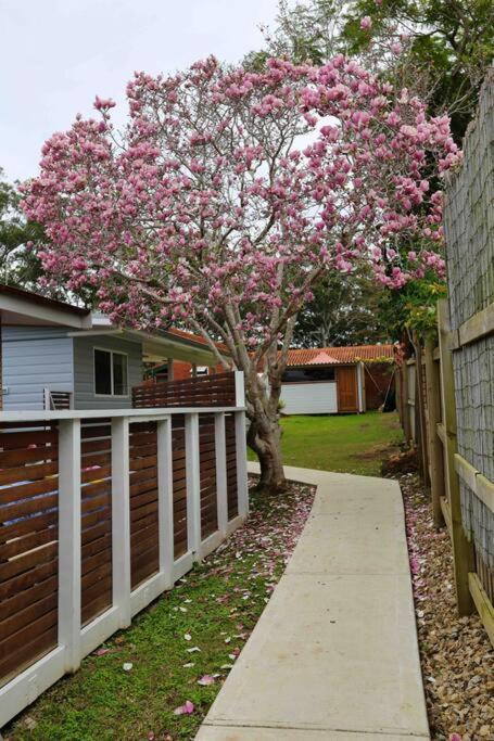 Magnolia Cottage Coffs Harbour Exterior foto
